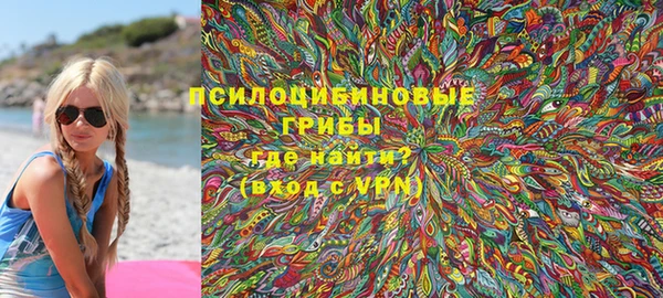 не бодяженный Алексин