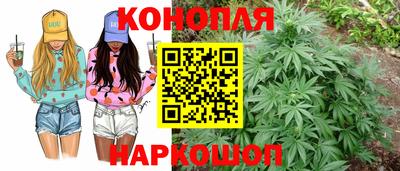 гашик Волгодонск