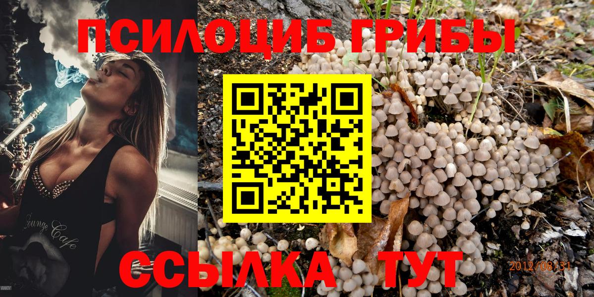 Галлюциногенные грибы ЛСД  Вход с VPN  Лысьва  Псилоцибиновые грибы мухоморы 